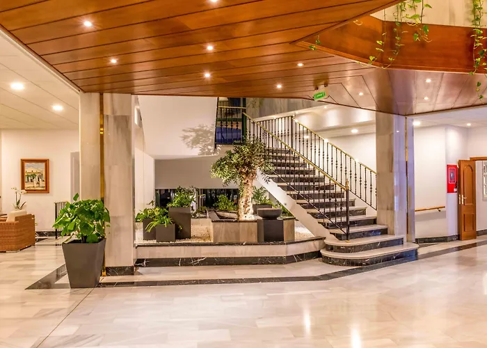 Valentin 4* 손 보우